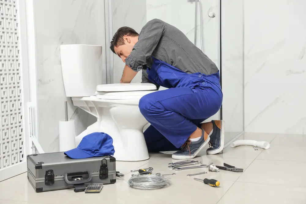 Toilet Installation in Combes